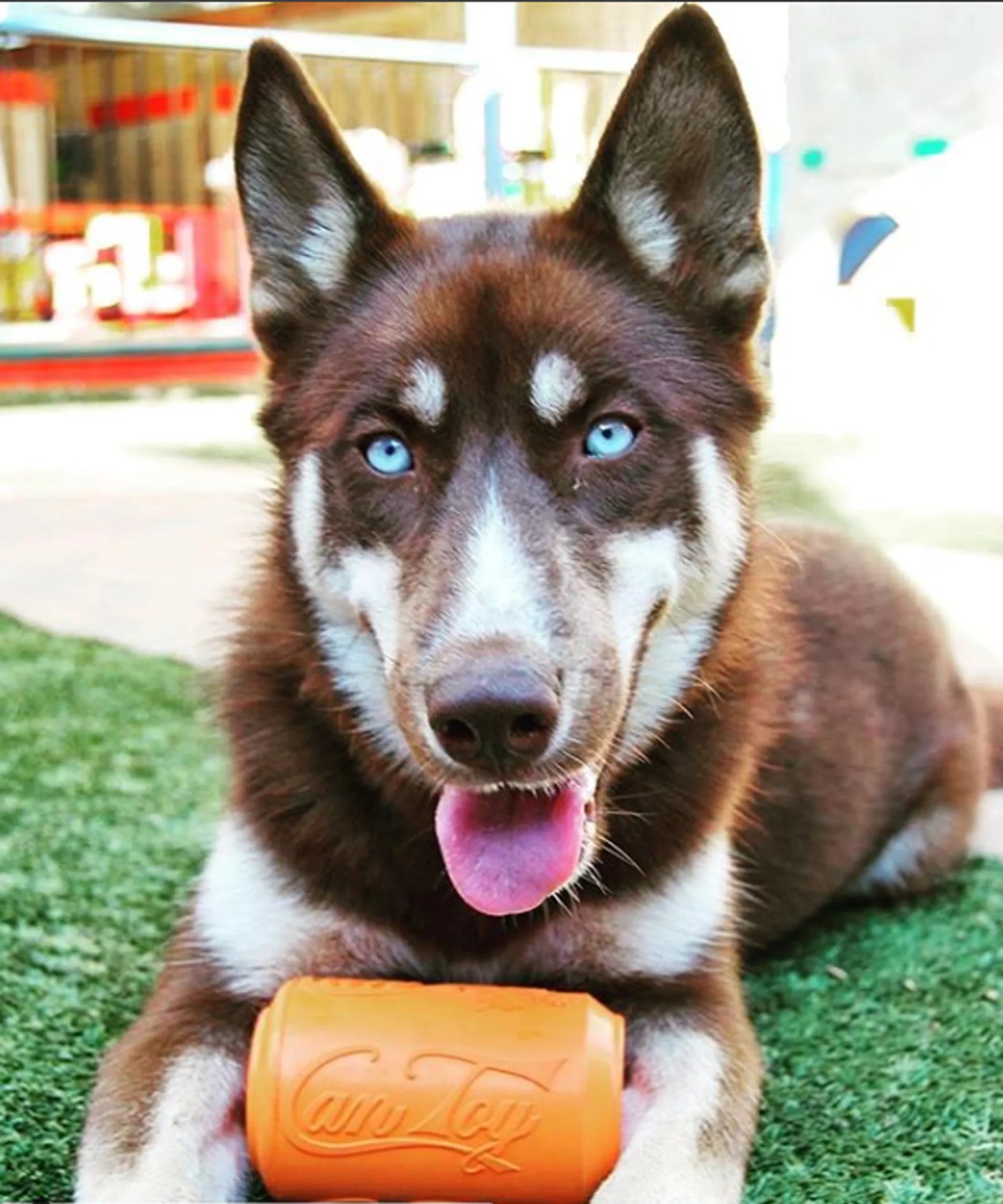 Can Toy — Rubber Chew & Treat Dispenser