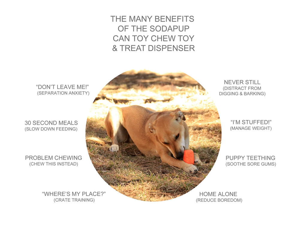 Can Toy — Rubber Chew & Treat Dispenser