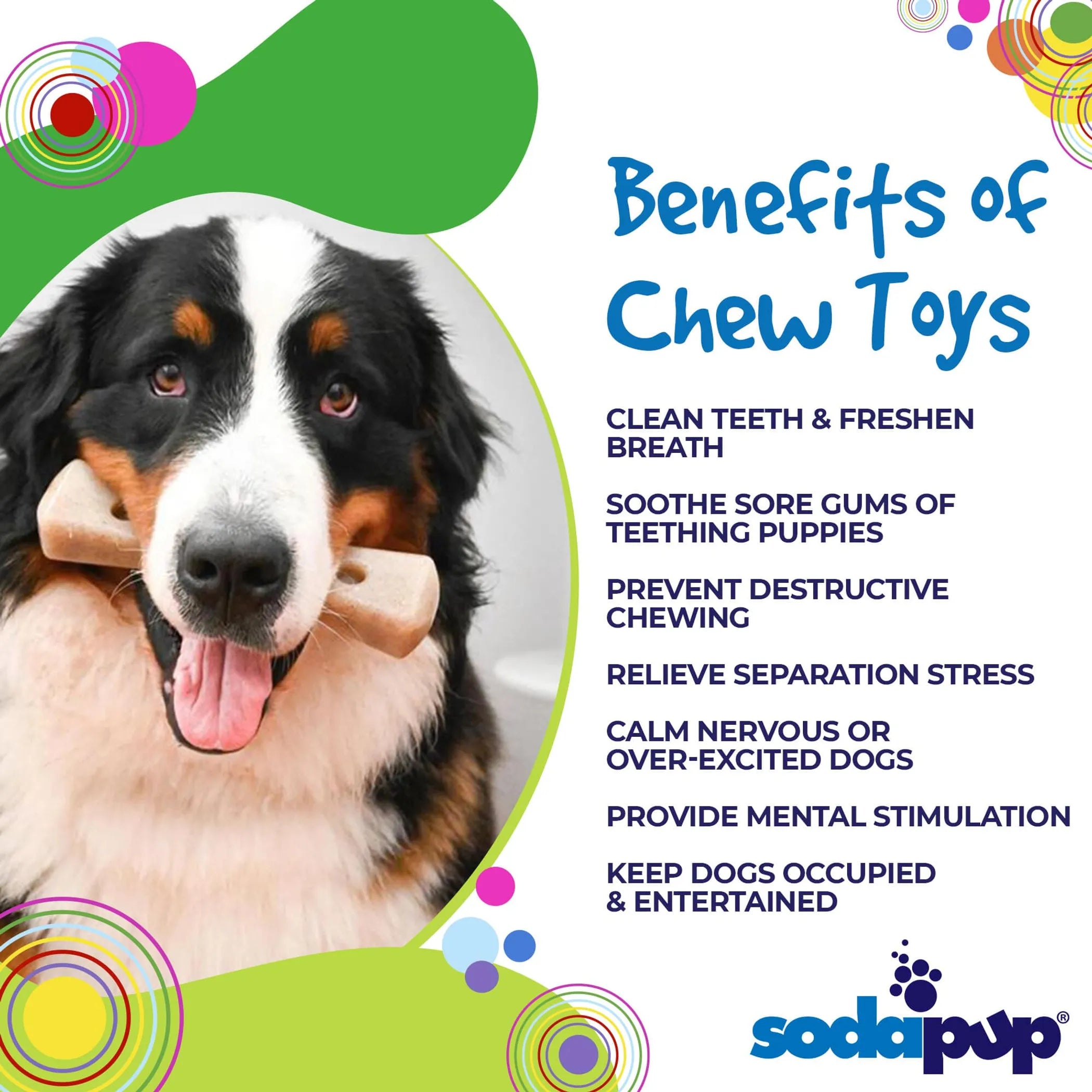 MOD Bone — Nylon Chew for Power Chewers