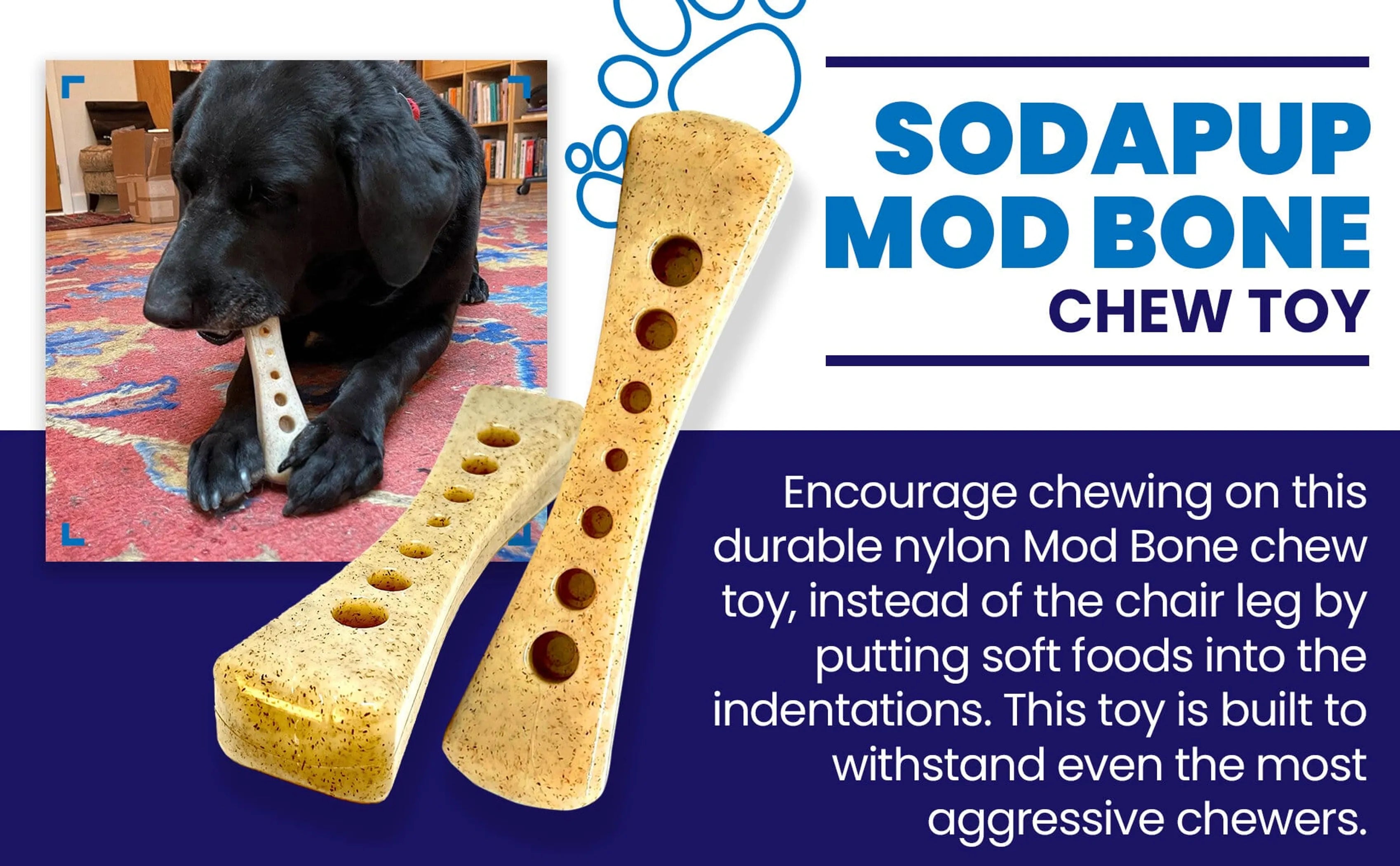 MOD Bone — Nylon Chew for Power Chewers
