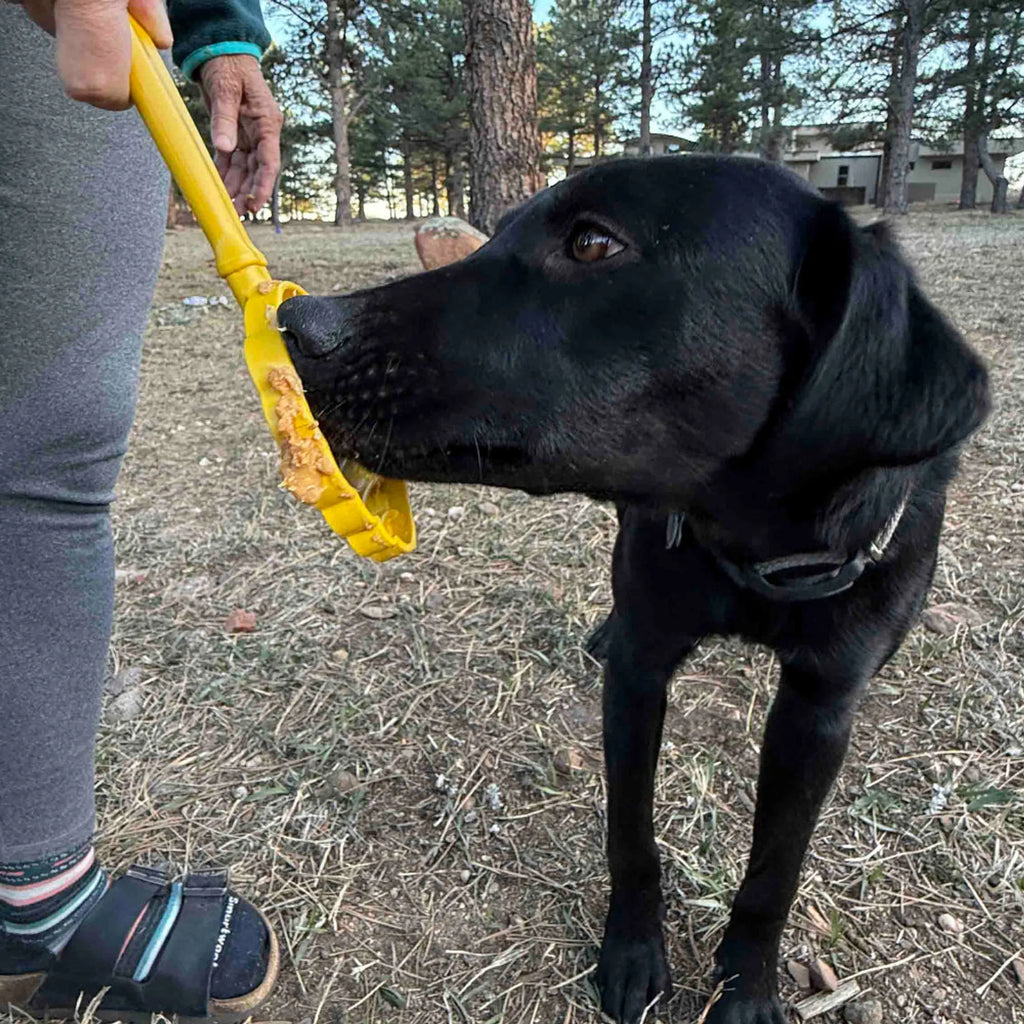 Lick Stick — Handheld Enrichment Toy