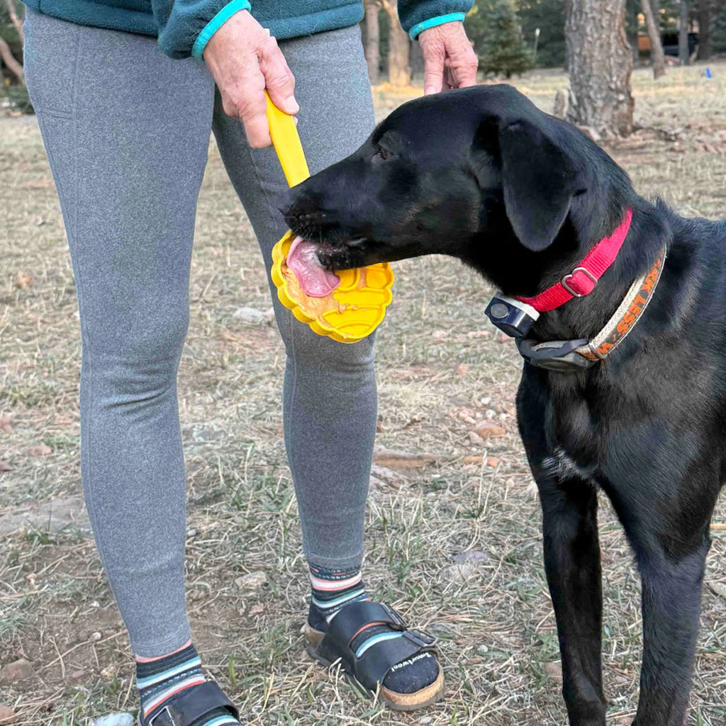 Lick Stick — Handheld Enrichment Toy