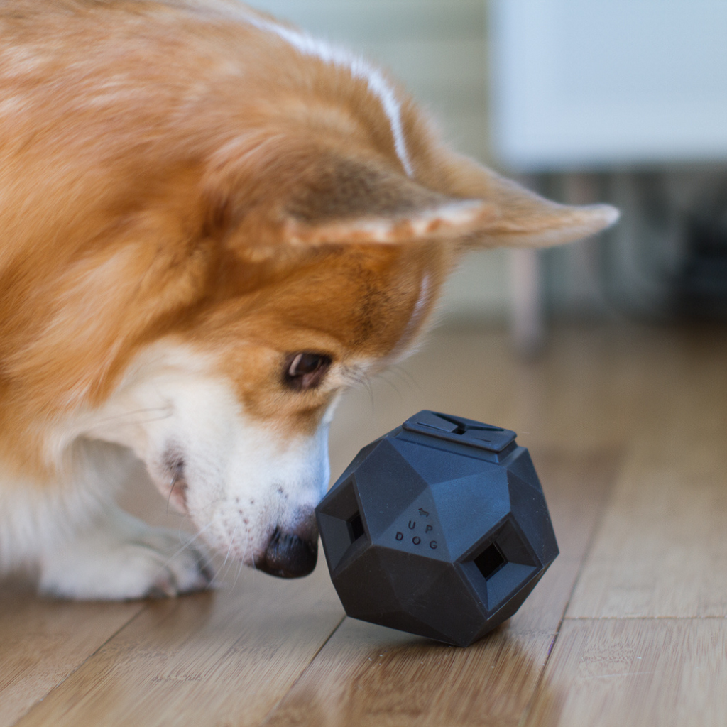 The Odin — Treat Dispensing Puzzle
