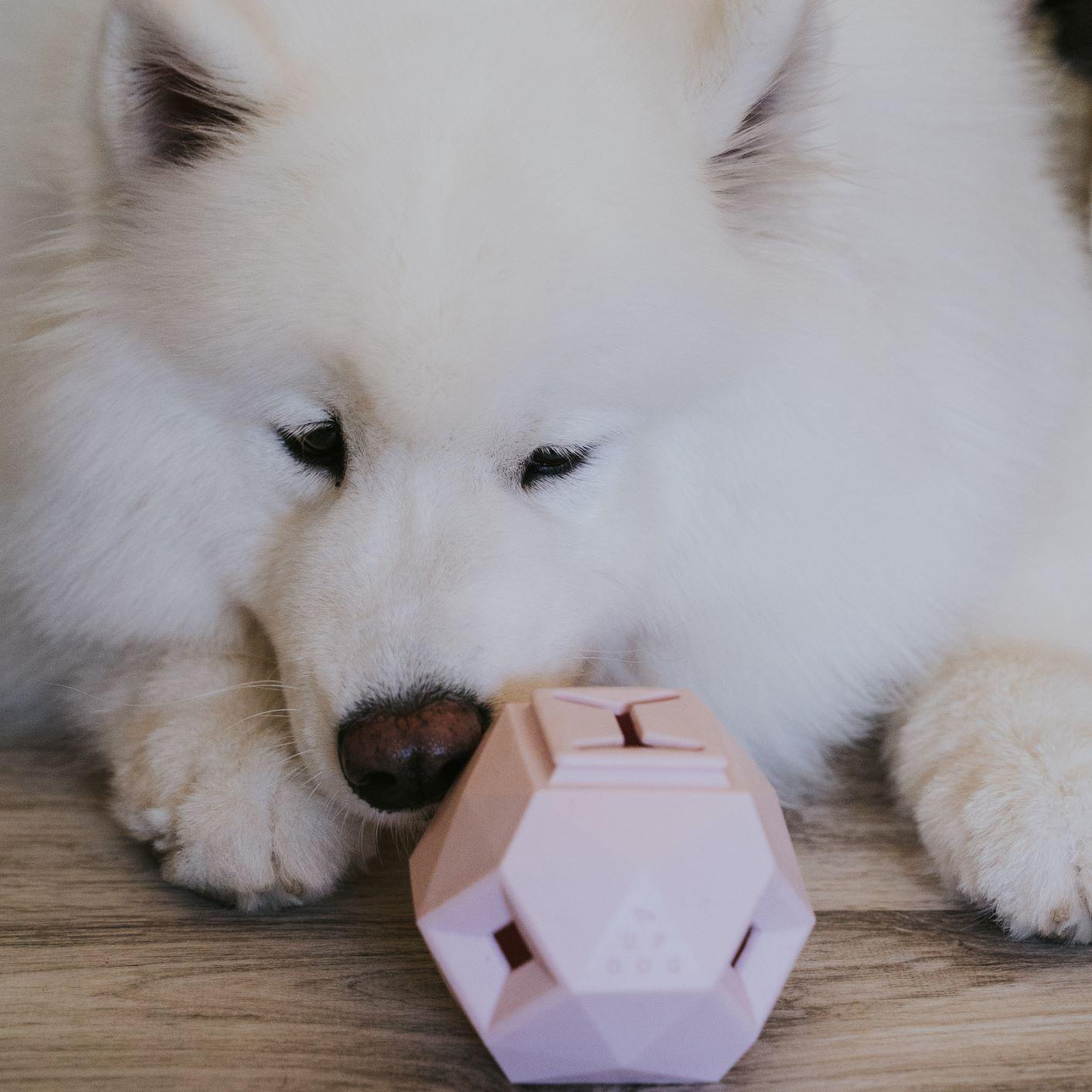 The Odin — Treat Dispensing Puzzle