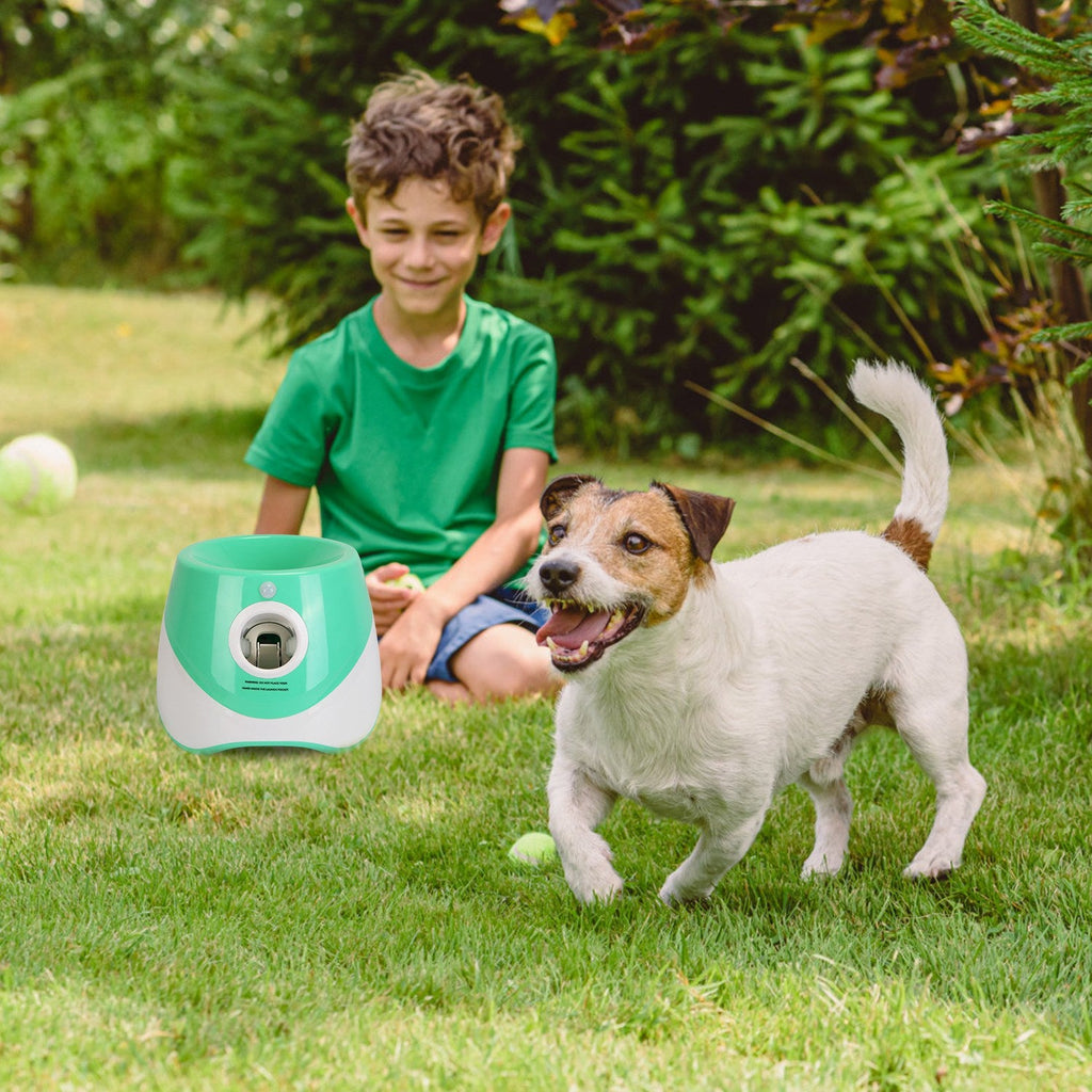 Automatic Ball Launcher — Includes 6 Tennis Balls