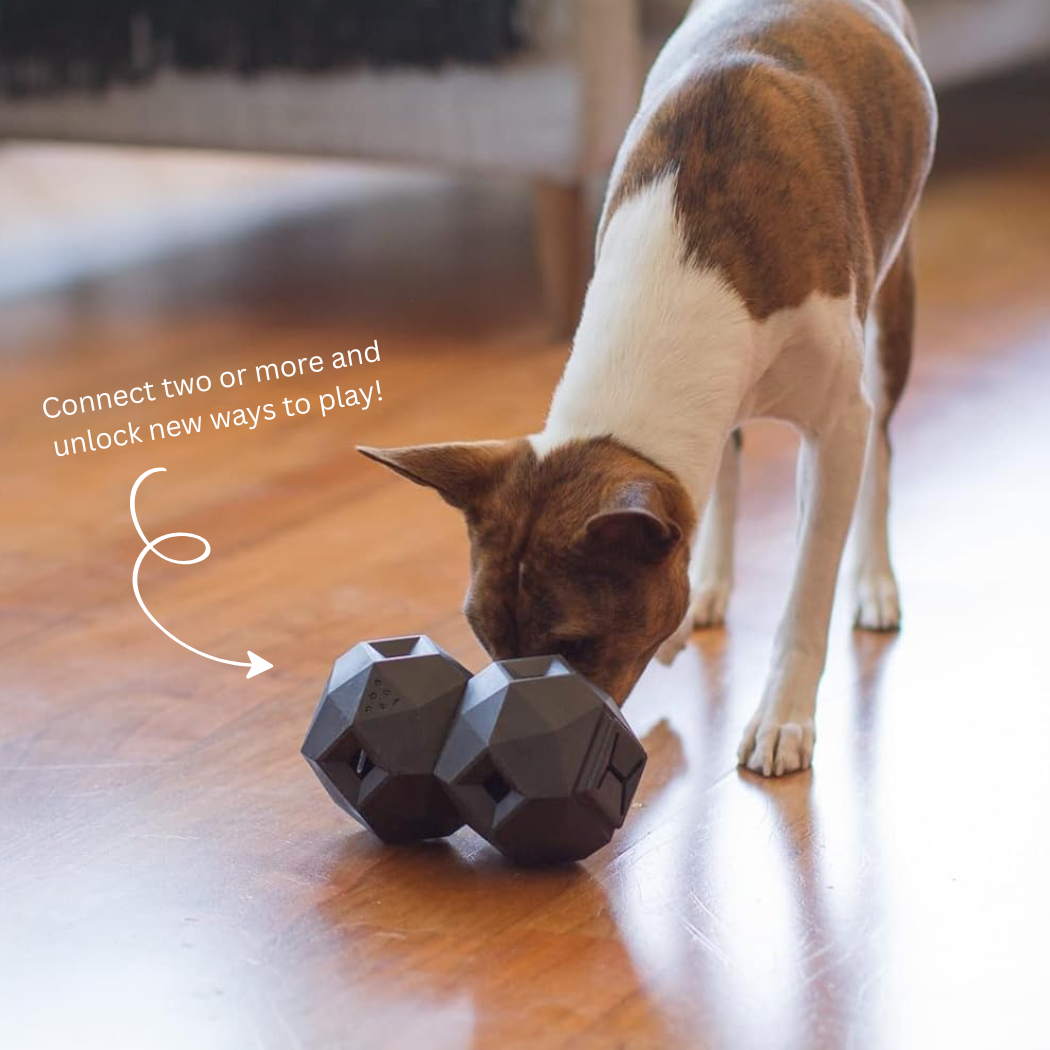 The Odin — Treat Dispensing Puzzle