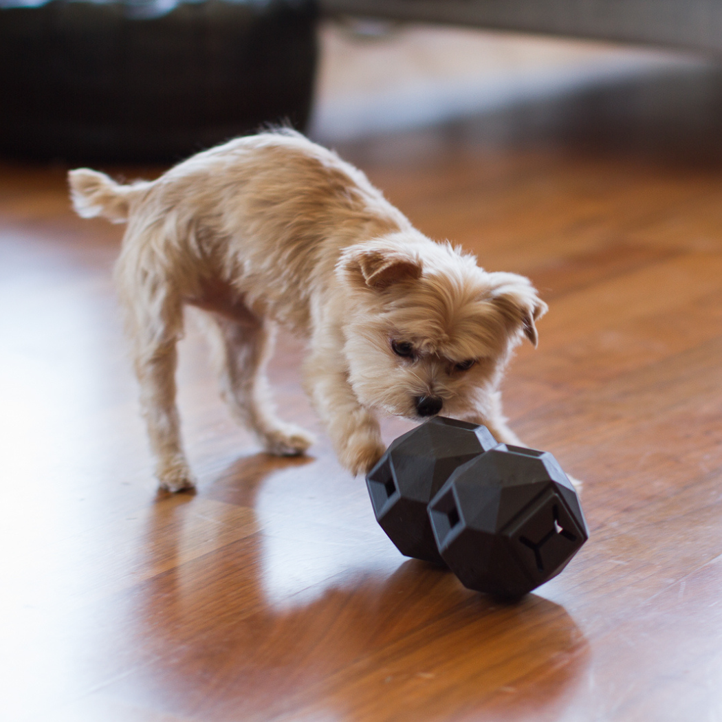 The Odin — Treat Dispensing Puzzle
