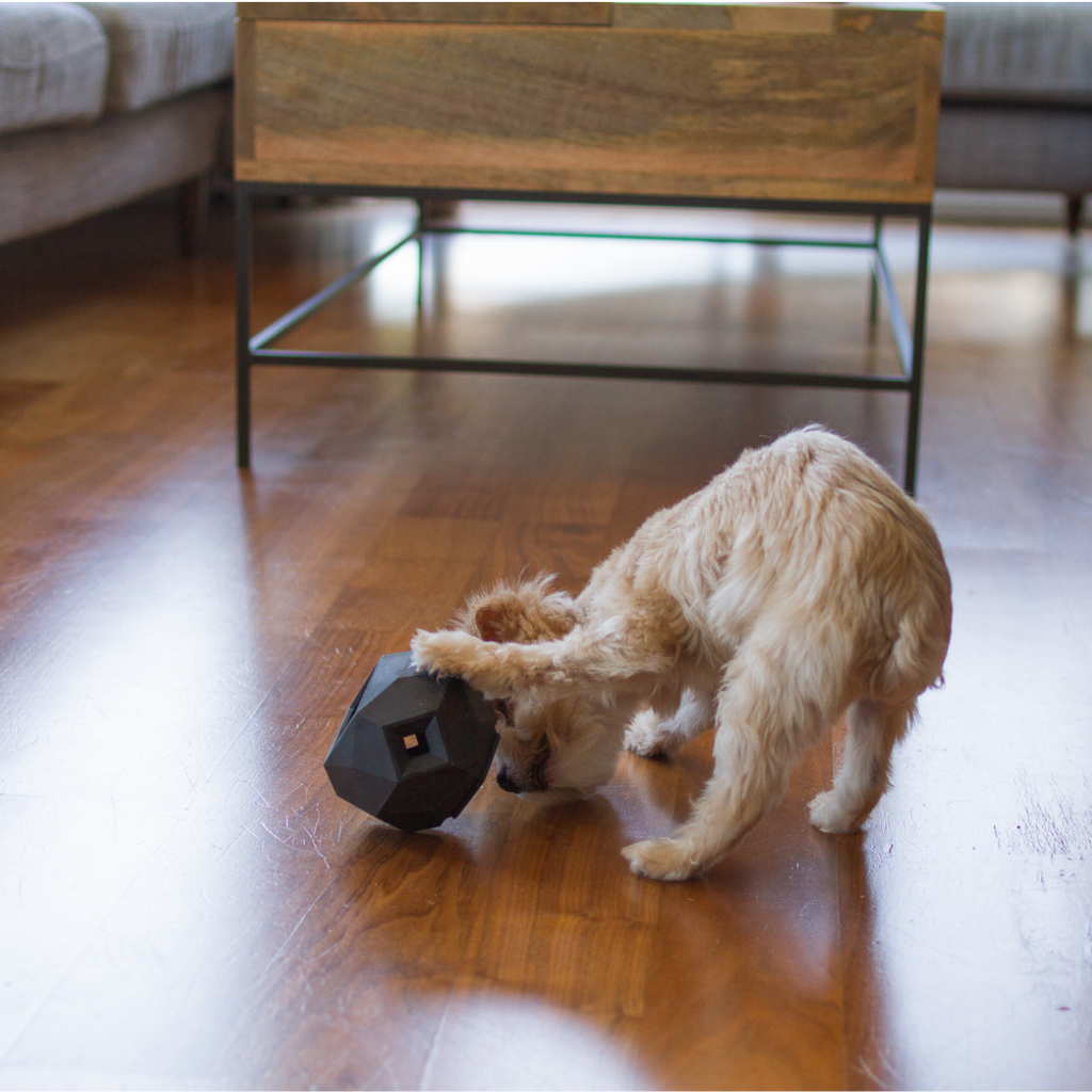 The Odin — Treat Dispensing Puzzle