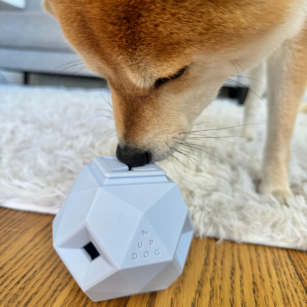 The Odin — Treat Dispensing Puzzle